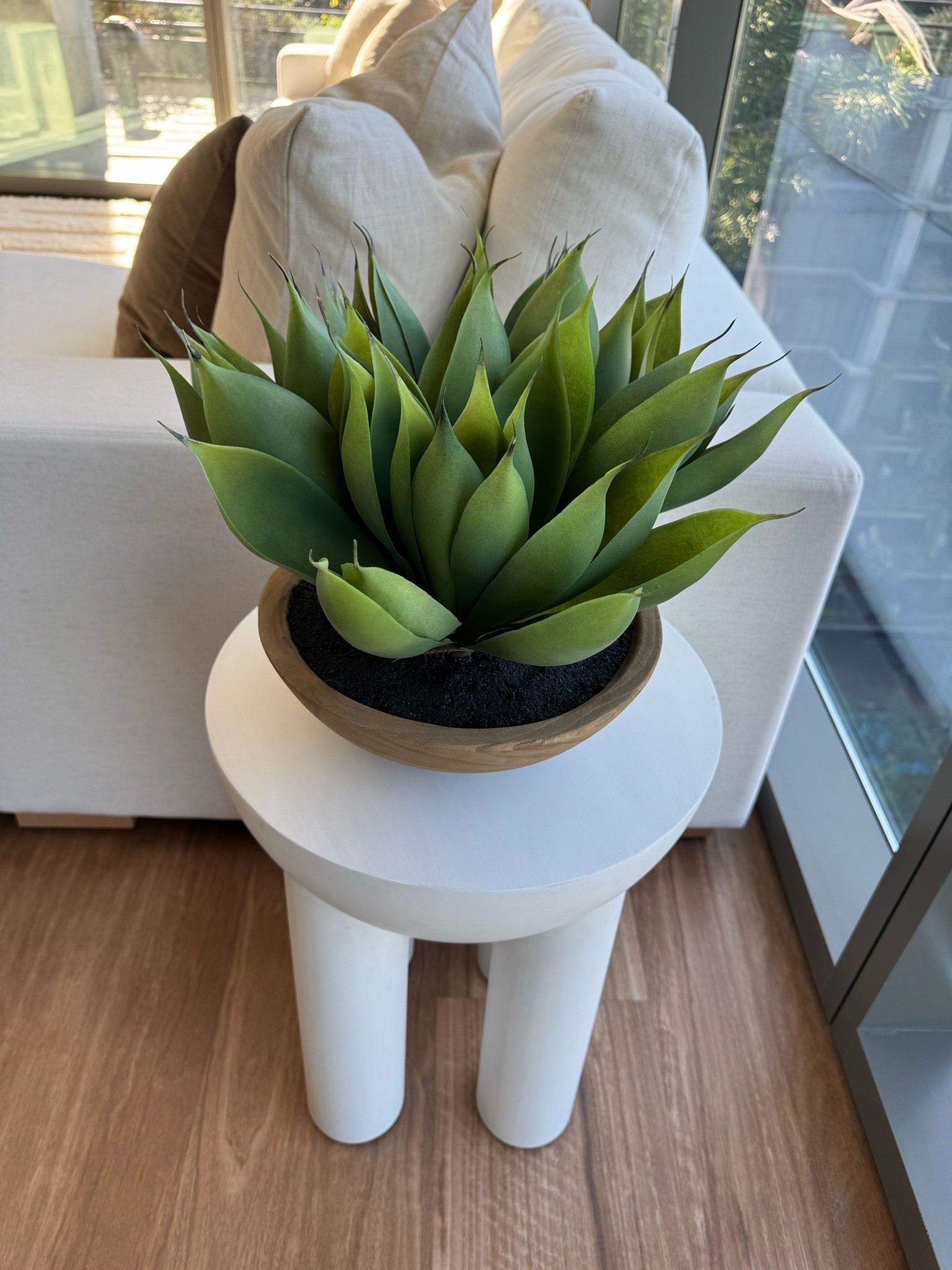 Faux aloe plant back in stock!🌱🌵

#LTKHome