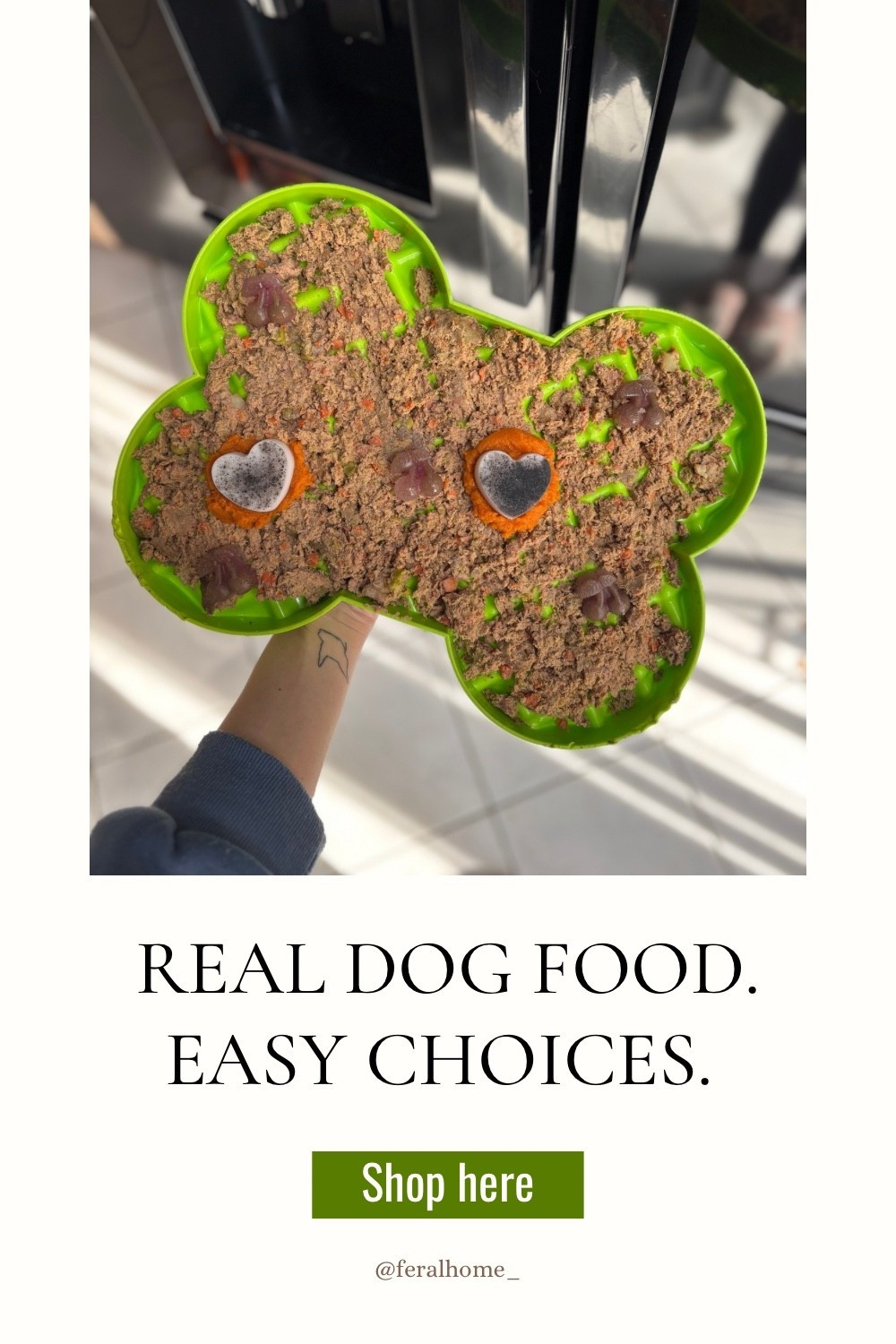 🍽️ #LTKPets

#LTKfoodie #LTKdayinmylife #LTKvlog