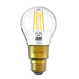 Avatar Controls Smart Light Bulb WiFi LED Edison Bulbs Compatible with Alexa/Google Home, 6W 2200-65 | Amazon (US)