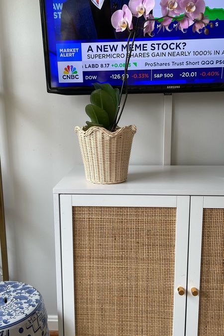 I don’t know how my poor orchids went this long without these chic baskets. 

Also - take a look at the price of this cabinet. Nuts, right? It’s the perfect stand-in til I find my gorgeous, moody antique one - and it’s a hiding place for toys 👀

#amandalindroth #scallops #canefurniture #orchids #livingroom 

#LTKfindsunder100 #LTKhome