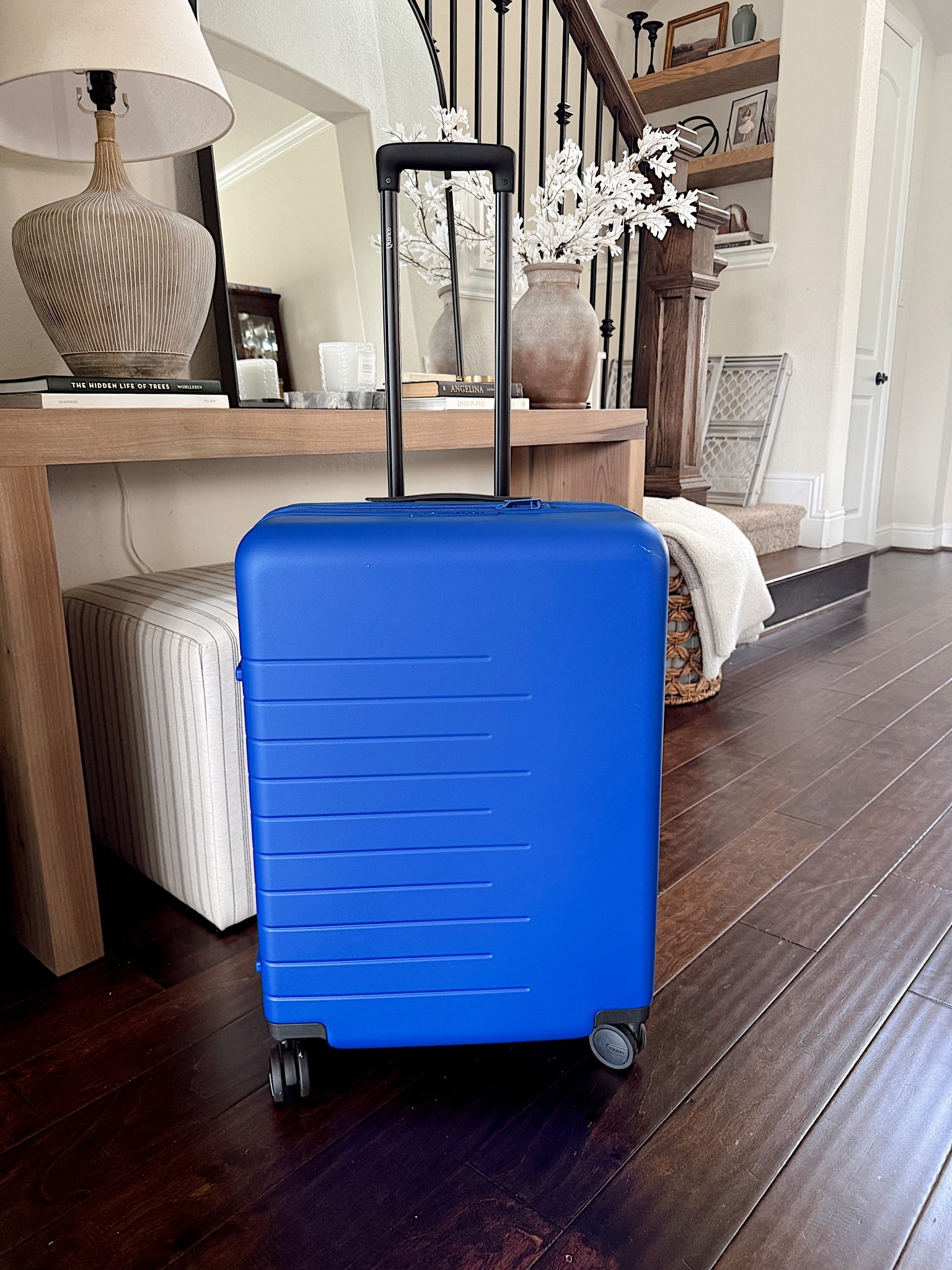 Medium luggage