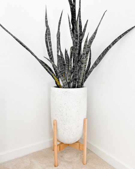 Amazon find under $25 - Just added this bamboo adjustable plant stand to our bedroom! It gives our planter a nice pop against all of the white, plus it makes the planter pot taller so it’s not the same height as our nightstands. I love that you can adjust the bottom to accommodate for slim or wide planter pots!

// #ltkfind #ltkhome #ltkstyletip #ltkunder50 home decor, plant stand, planter, bedroom decor, living room decor, hallway decor, Amazon home, Amazon finds