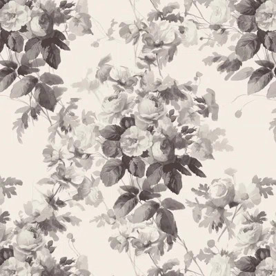 LONDON ROSE Traditional Wallpaper - China | Wayfair North America