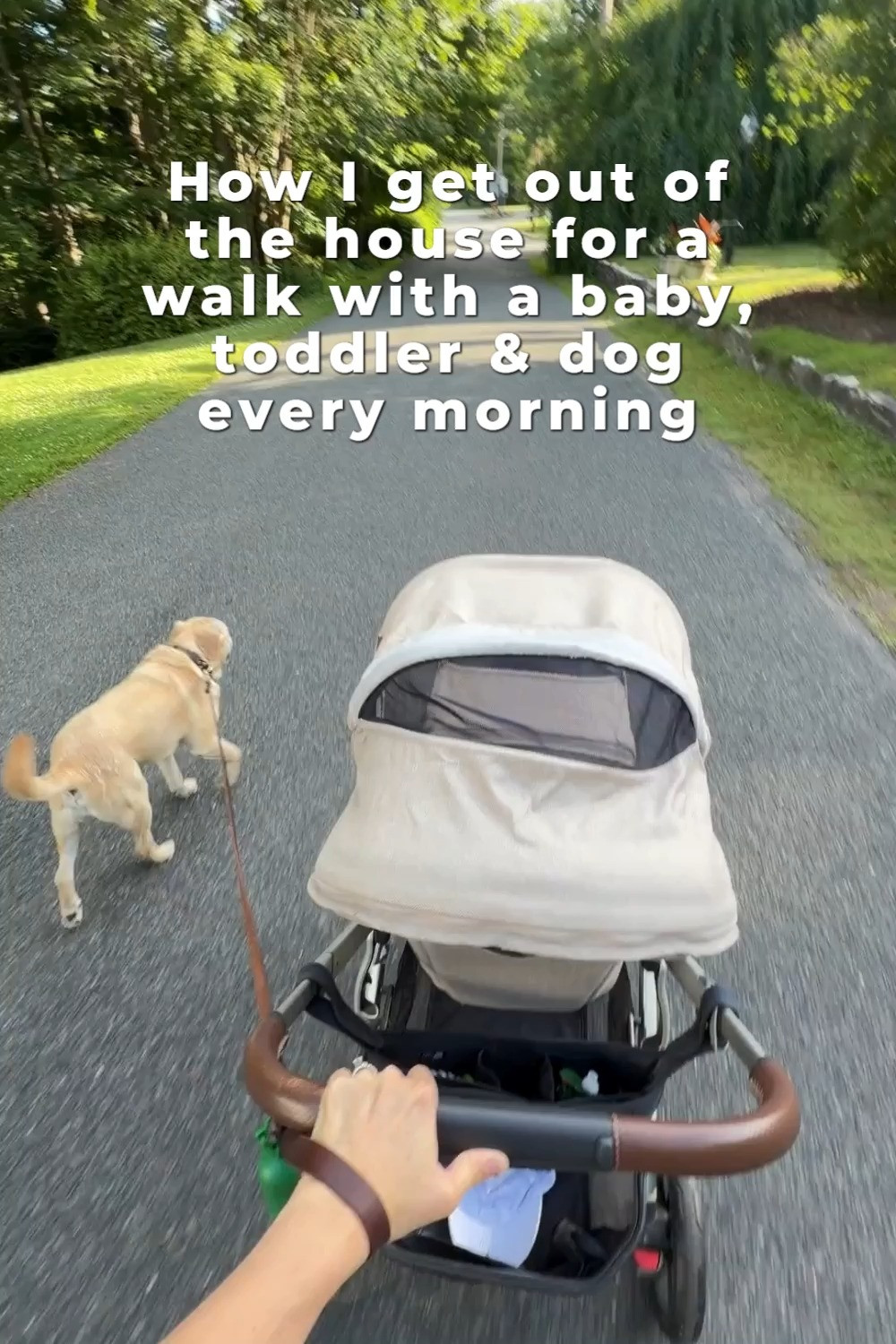 How I actually get out of the house with a baby, toddler & dog every morning 

 