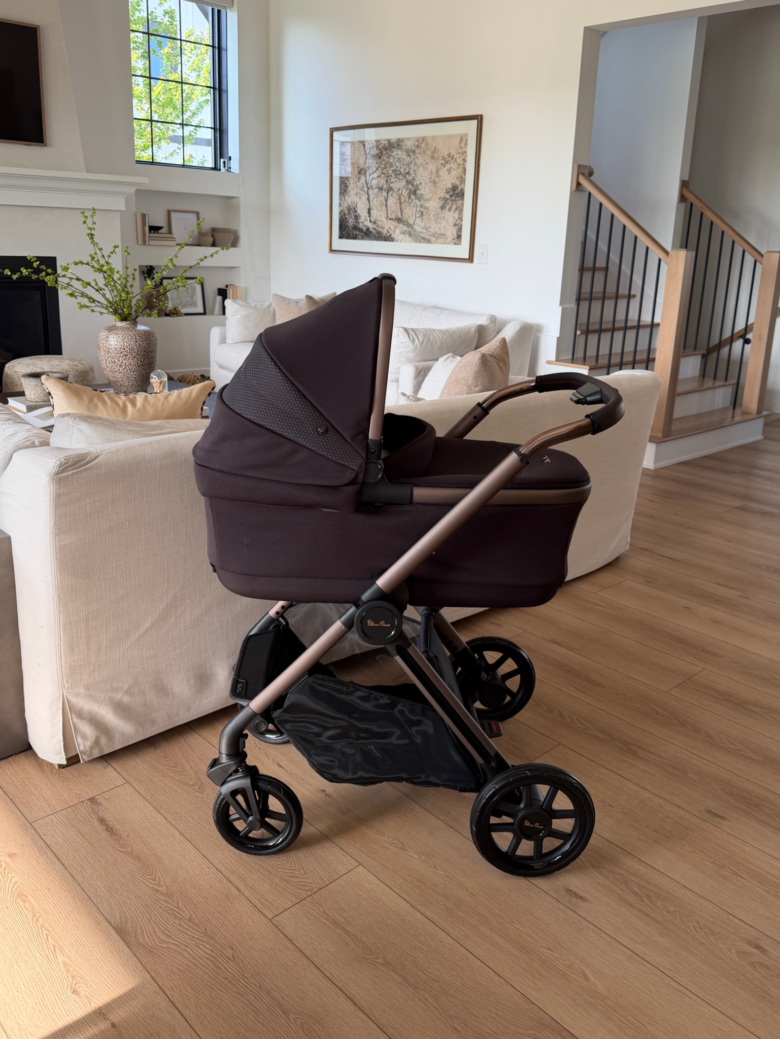 Stroller color ganache, car seat color: cedar 🤎

Silver cross reef 2
Nuna pipa aire rx 