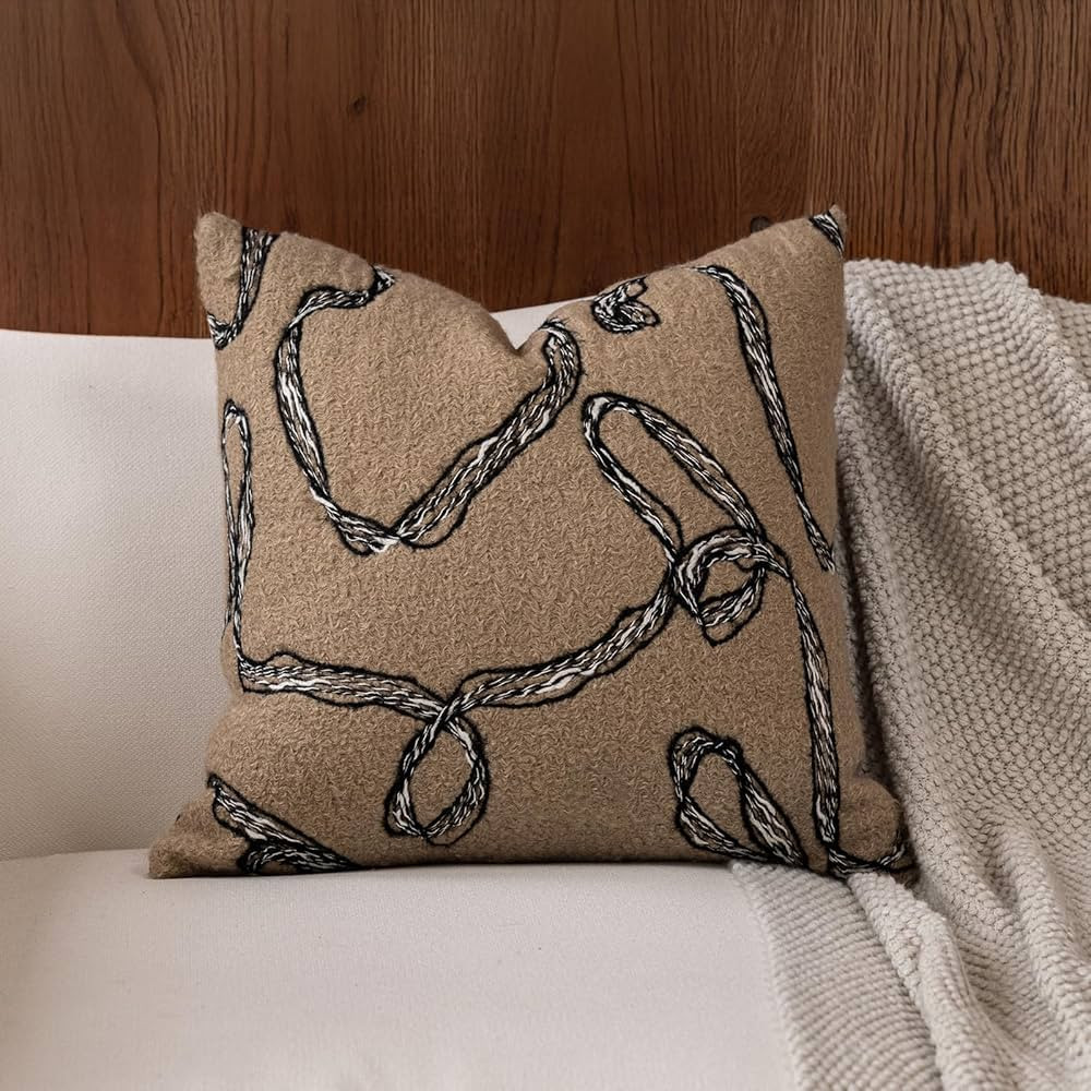 DWR 18x18 Decorative Throw Pillow Cover – Boho Rope Swirl Design with Soft Velvet Back, Texture... | Amazon (US)