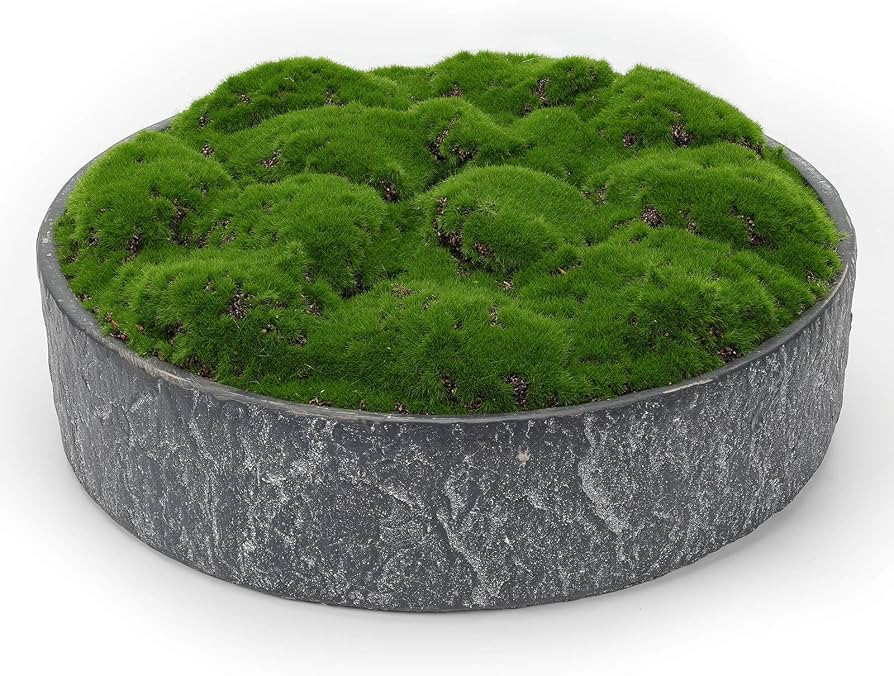 NAHARO New Moss Bowl,11''Handmade Cement Bowl\u2013Artificial Moss Centerpiece for Home Decoratio... | Amazon (US)
