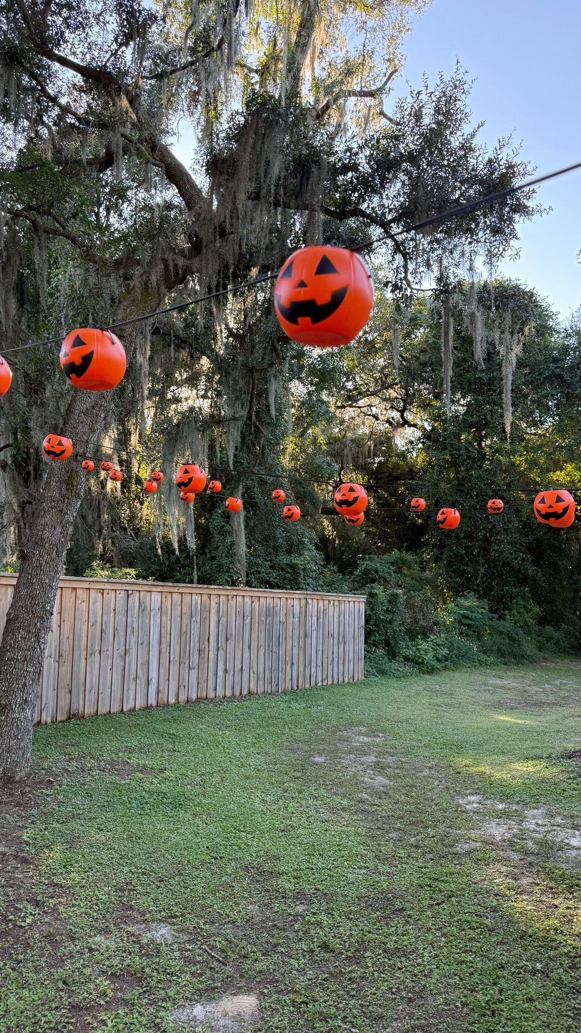 this is your sign to add mini pumpkins to your globe lights 🎃✨

#LTKSeasonal #LTKHome