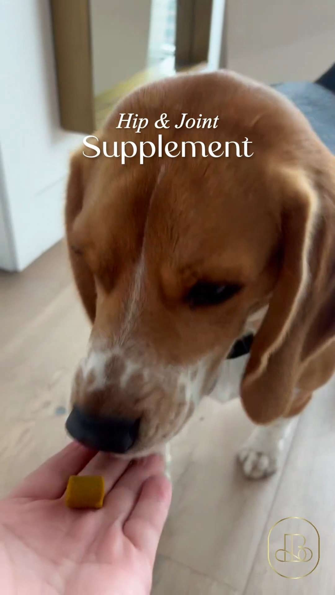 Keep that puppy-like energy going strong for years to come! 🐾 Wholesome Pride Hip & Joint Support is a total game-changer for active dogs who love their daily walks and playtime. Great gift ideas for a "new dog" welcome basket, a pet birthday surprise, or for the neighbor whose senior dog is their absolute world! 🐕 #DogJointSupport #WholesomePets #WholesomePride #DogWellness #PetHealth #PetSupplements  

#LTKmomlife #LTKHome