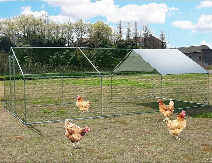 Large Metal Chicken Coop Walk-in Poultry Cage Hen Run House Habitat Cage Spire Shaped Cage with W... | Amazon (US)