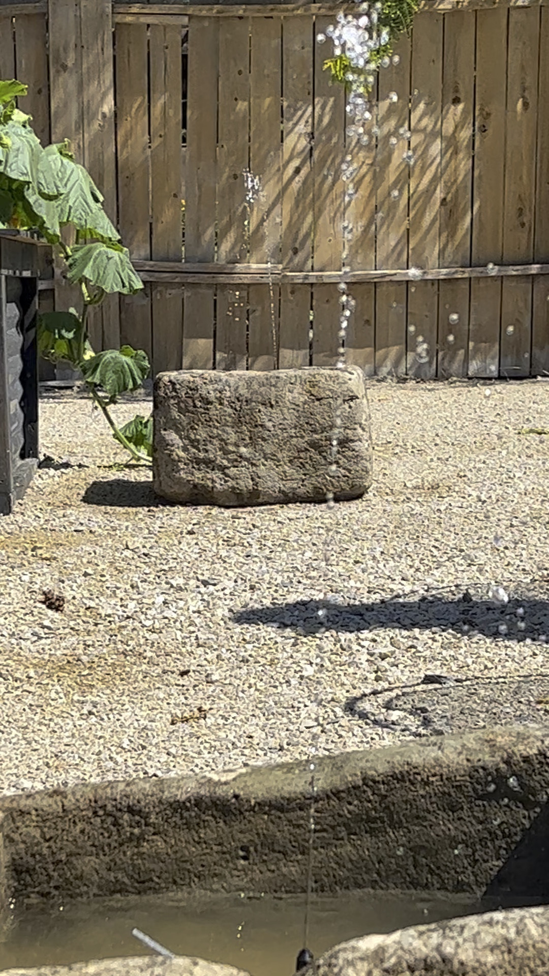 DIY SOLAR FOUNTAIN