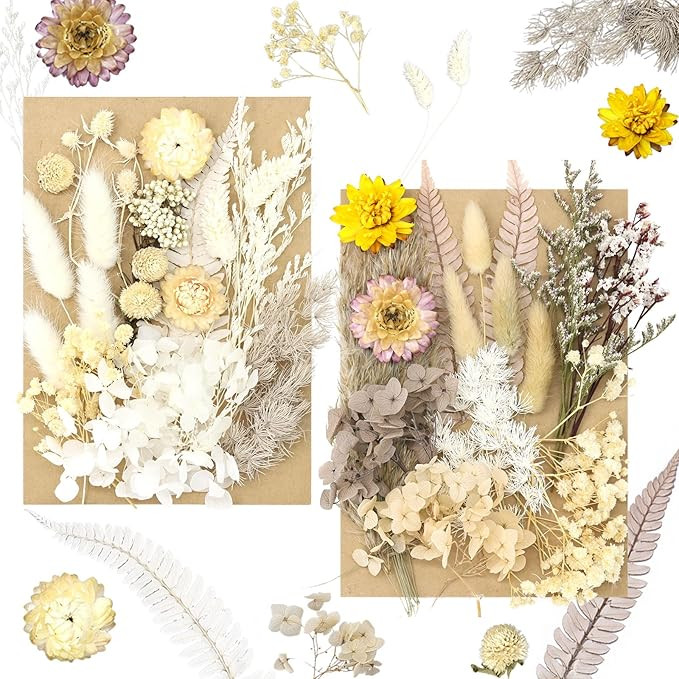 2 Packs Real Dried Pressed Flowers, Dired Flowers for Crafts Resin Molds Candle Making Jewelry Ma... | Amazon (US)
