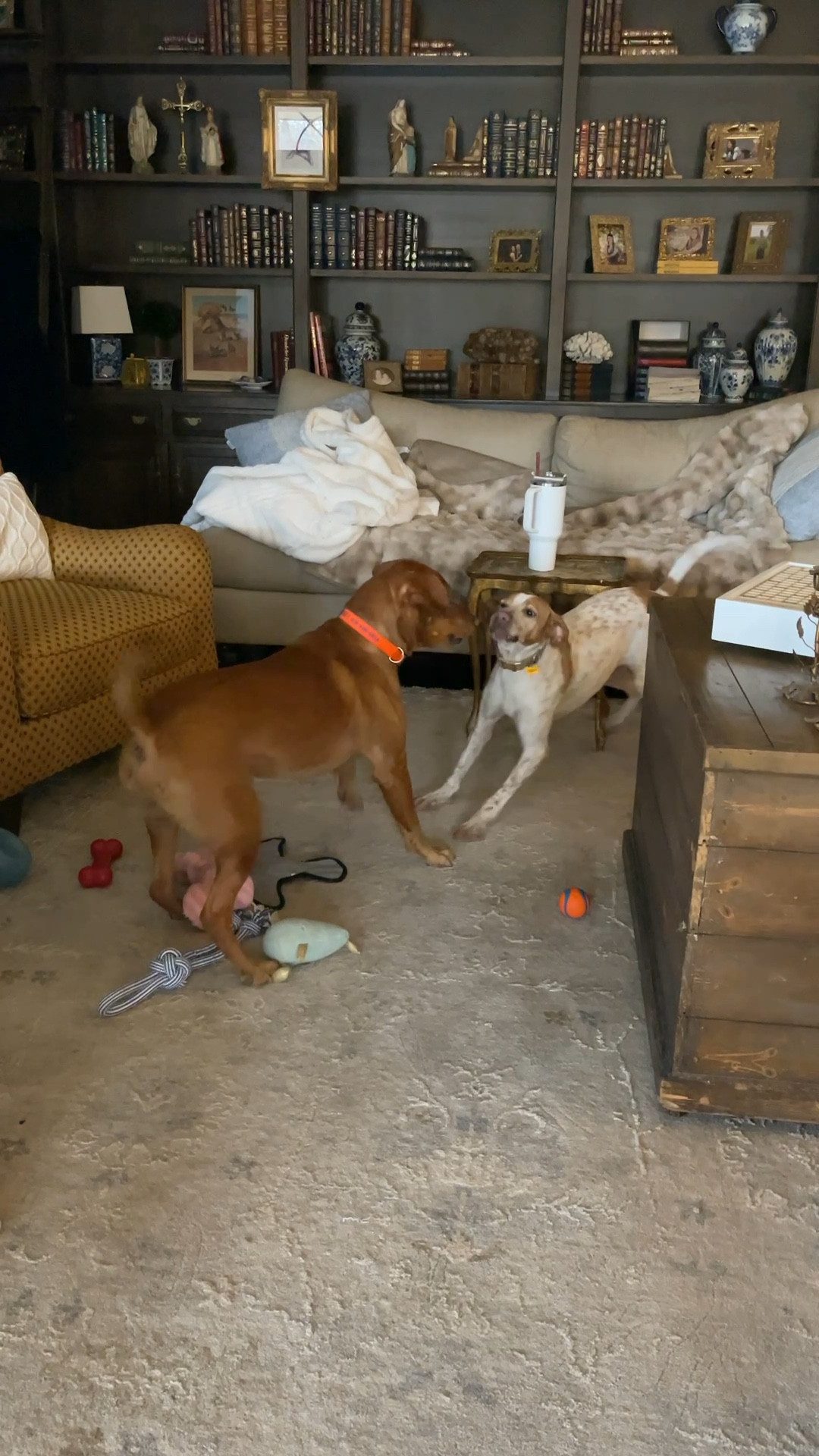 Shop the Stanley Black Friday Sale!

#LTKCyberWeek #LTKSaleAlert #LTKGiftGuide