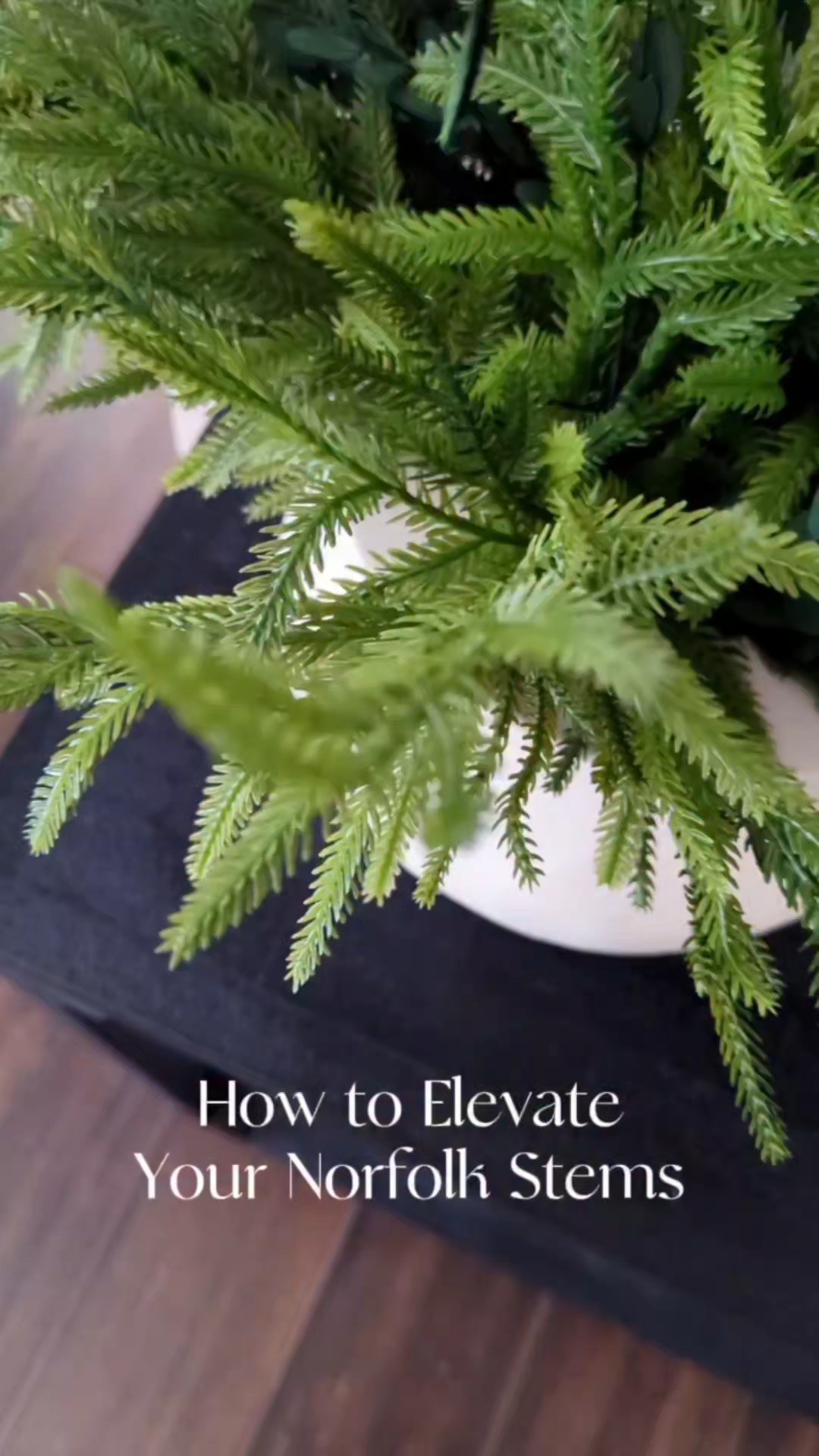 Elevate your Norfolk stems with eucalyptus stems and berry stems!!! You can do this to Cedar stems or any Christmas stems! Red berry picks. Amazon Christmas. #Christmas #LTKfind

#LTKHoliday #LTKHome #LTKSeasonal