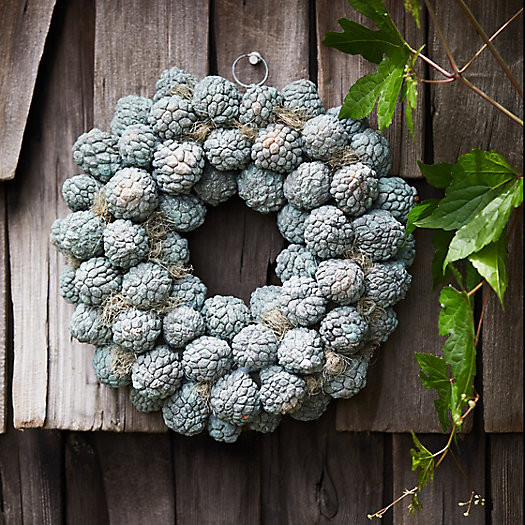 Dried Ata Fruit Wreath | Terrain
