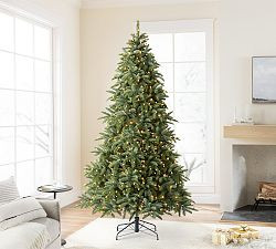 Tree Classics by Balsam Hill Deluxe Noble Fir Faux Christmas Tree | Pottery Barn (US)
