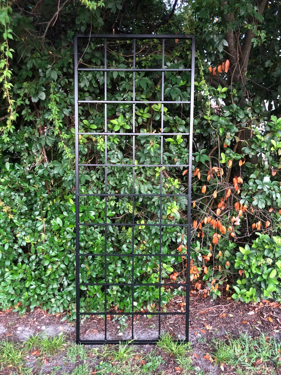 Large Multi Sizes, Classic Metal Garden Outdoor Trellis, Wall Mounted or Staked, up to 9ft, All A... | Etsy (US)