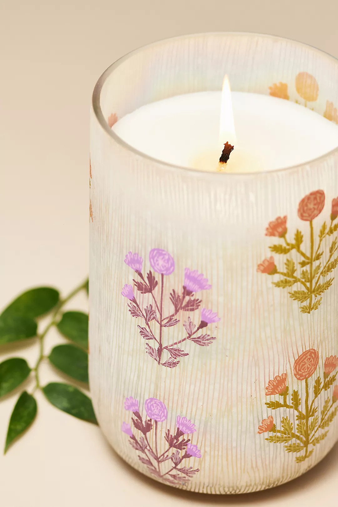 Astrid Fresh Hibiscus & Pink Guava Glass Candle | Anthropologie (US)