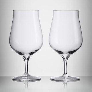 Elegance Hybrid Glass Pair | Waterford | Waterford