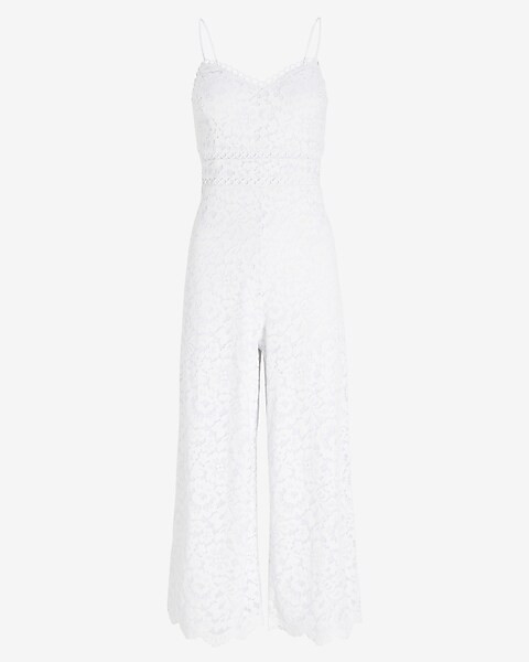 Lace Eyelet V-Neck Jumpsuit | Express