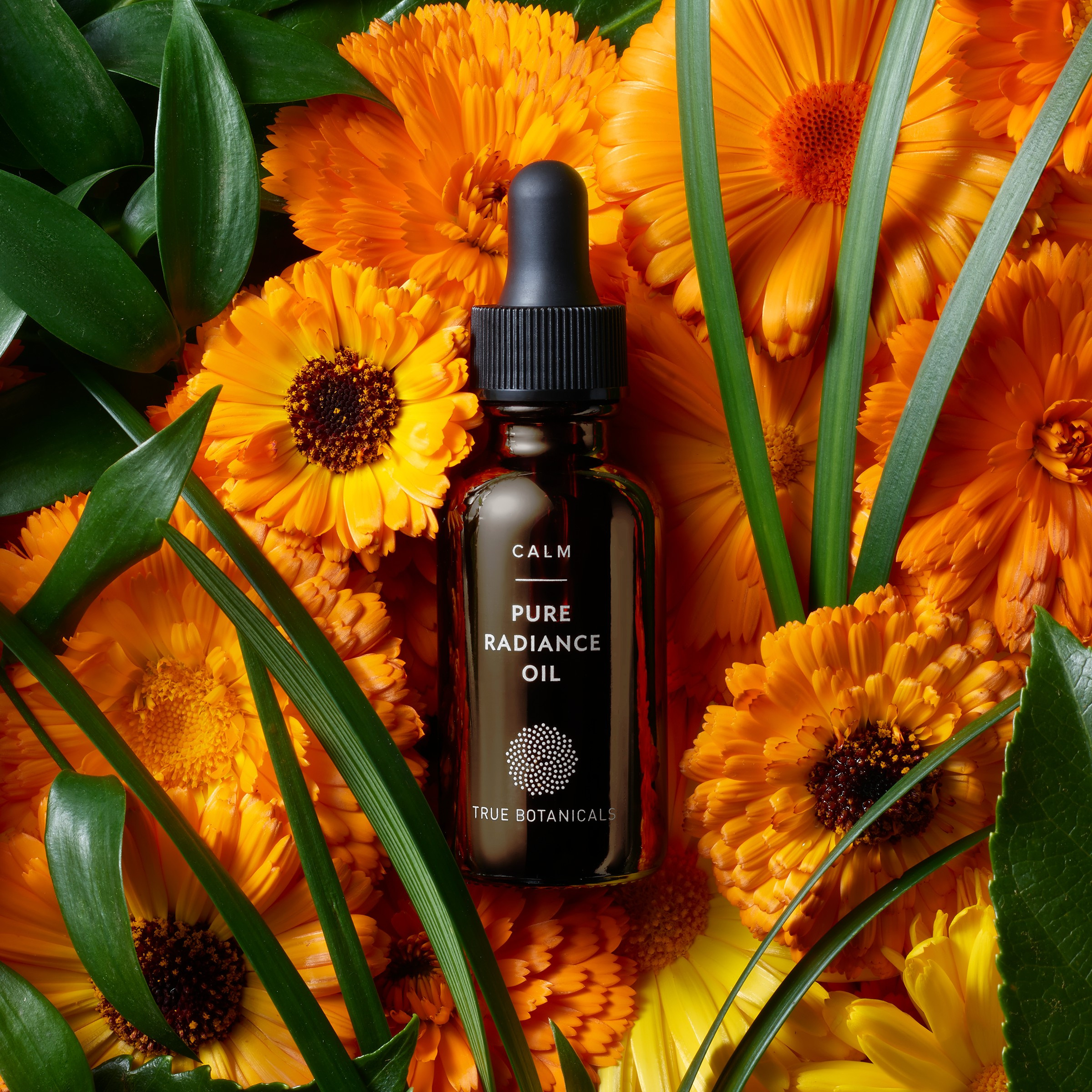 Pure Radiance Oil | True Botanicals, LLC