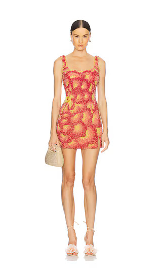 Sunset Rose Dress in Rose Ombre | Revolve Clothing (Global)