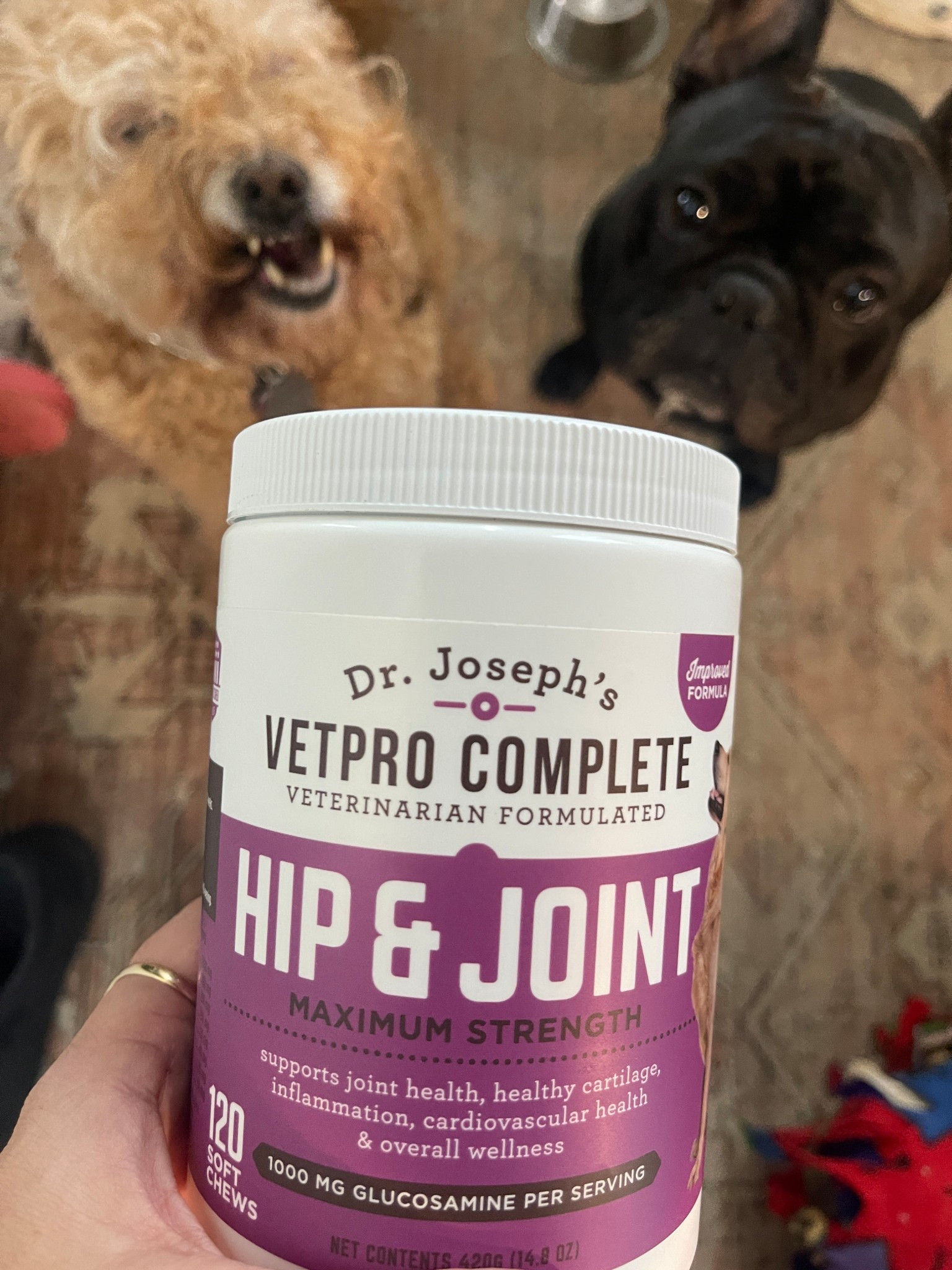 Hands down a life saver dog supplement for my frenchie! Spines are notoriously fragile in these dogs and he was showing some neck sensitivity. Since starting to give these daily he has had zero pain! We have it on autoship with Chewy so we never go without. It’s that good!

Dog supplements 
Dog essentials 
Pet nutrition 
Dr. Joseph’s Vetpro
Hip and Joint supplements 

#LTKFindsUnder50 #LTKFamily #LTKPets