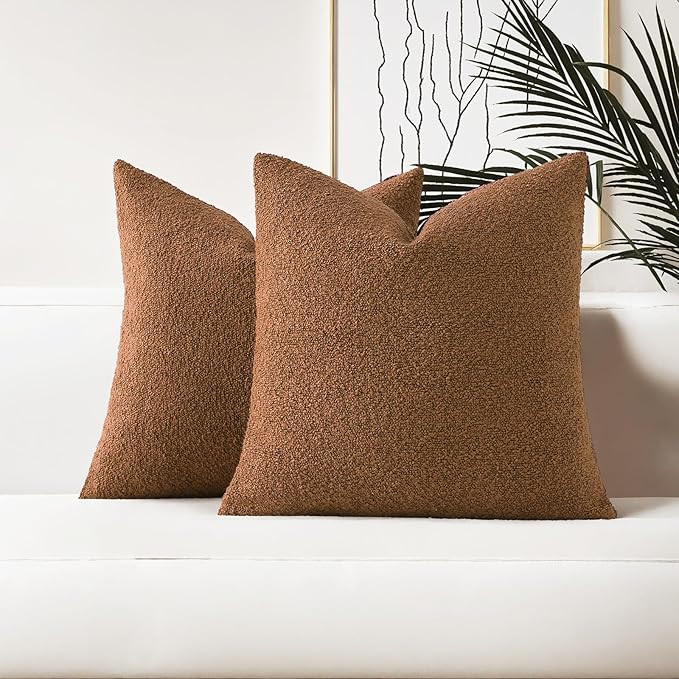 HAUSSY Set of 2 20x20 Decorative Throw Pillow Covers, Soft Cozy Textured Boucle Couch Cases, Home... | Amazon (US)