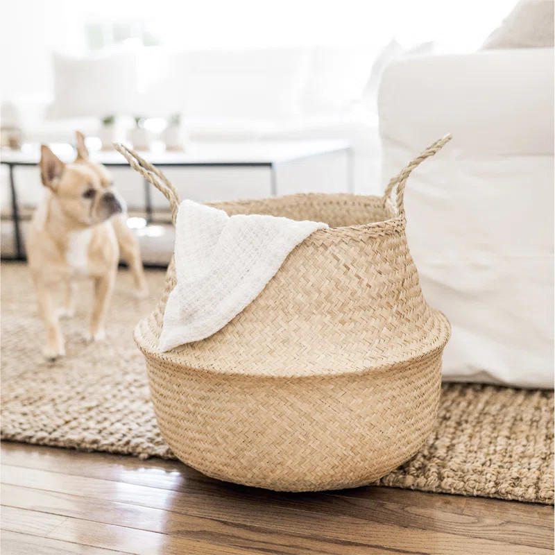 Medium Seagrass Basket | Wayfair North America