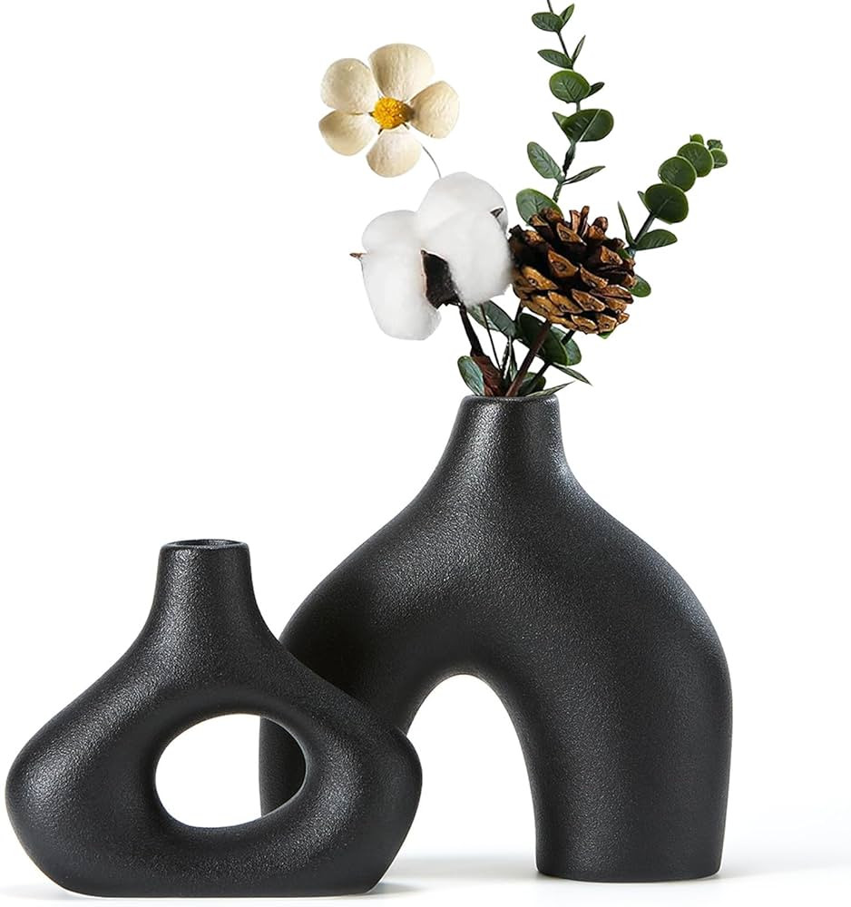 CEMABT Black Ceramic Round Matte Donut Vase Set of 2 for Modern Minimalist Bohemian Decor Pampas ... | Amazon (US)