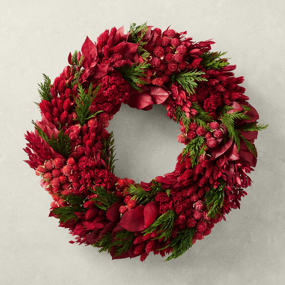 Red Velvet Live Wreath, 18" | Williams-Sonoma