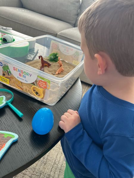 The dino bin is a hit!! I love these different kits. Once you have a bin too you could definitely build your own. So far his favorite piece though is the magnifying glass! 

#LTKfindsunder50 #LTKkids #LTKfamily