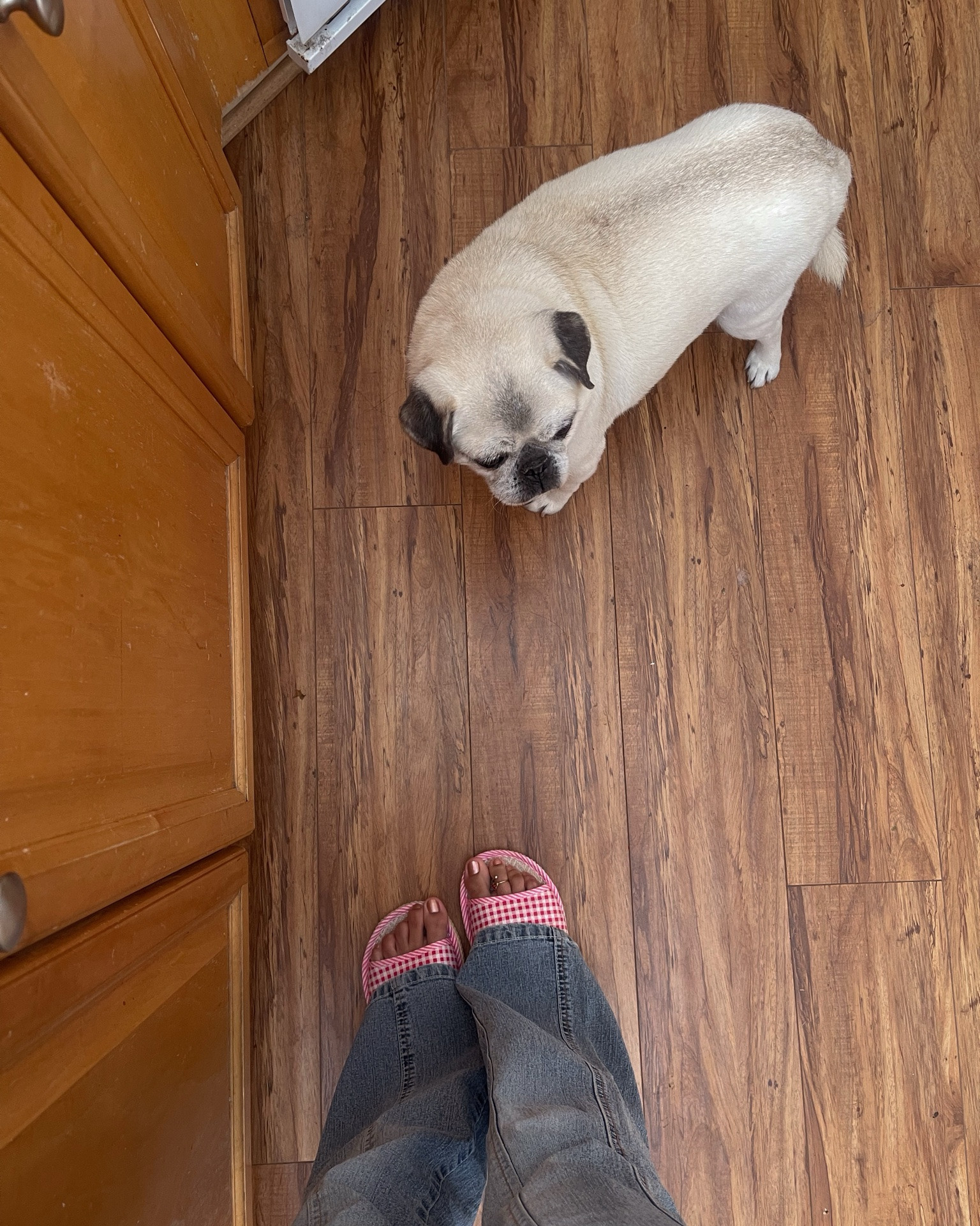 No matter what season we’re in, a cozy and cute house slipper will never go out of style 💞

Linking several options below, from fuzzy slippers to ones that look similar to mine.

#LTKselfcare #LTKmorningroutine #LTKHome