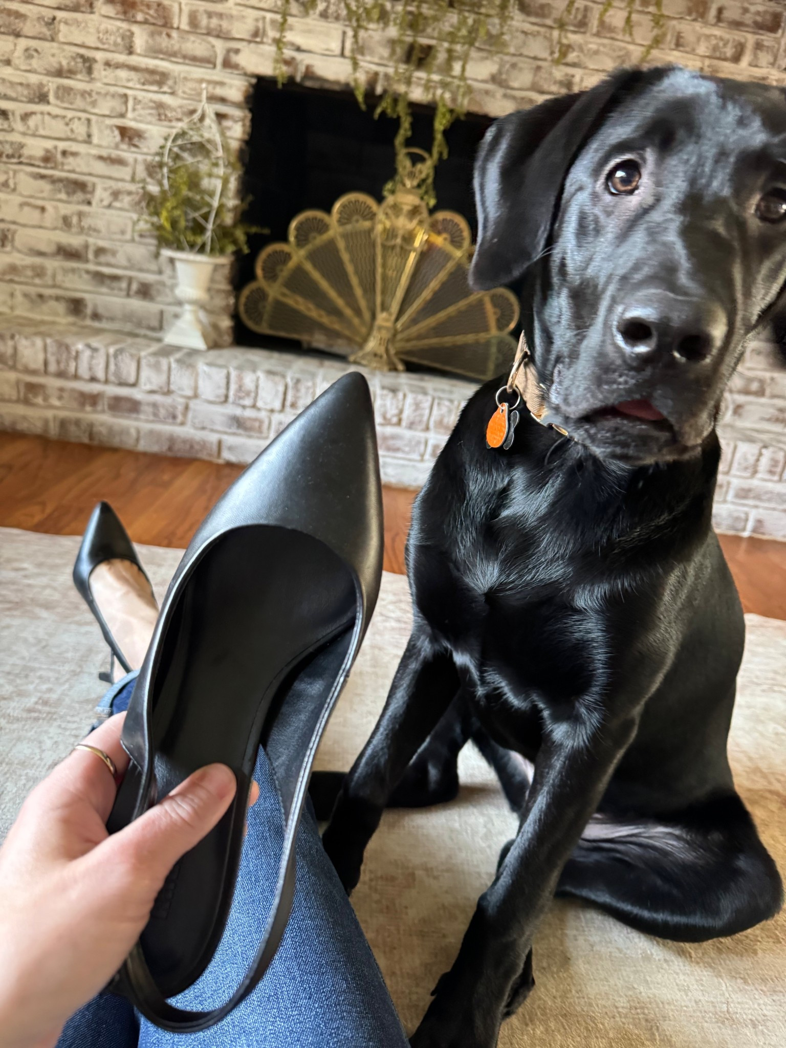 Black Slingback Heels 
Nordstrom Rack 

#LTKgrwm #LTKmomlife #LTKootd