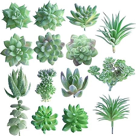 Supla 11 Pcs Mini Artificial Succulents Picks Unpotted Faux Succulent Assortment in Flocked Green... | Amazon (US)