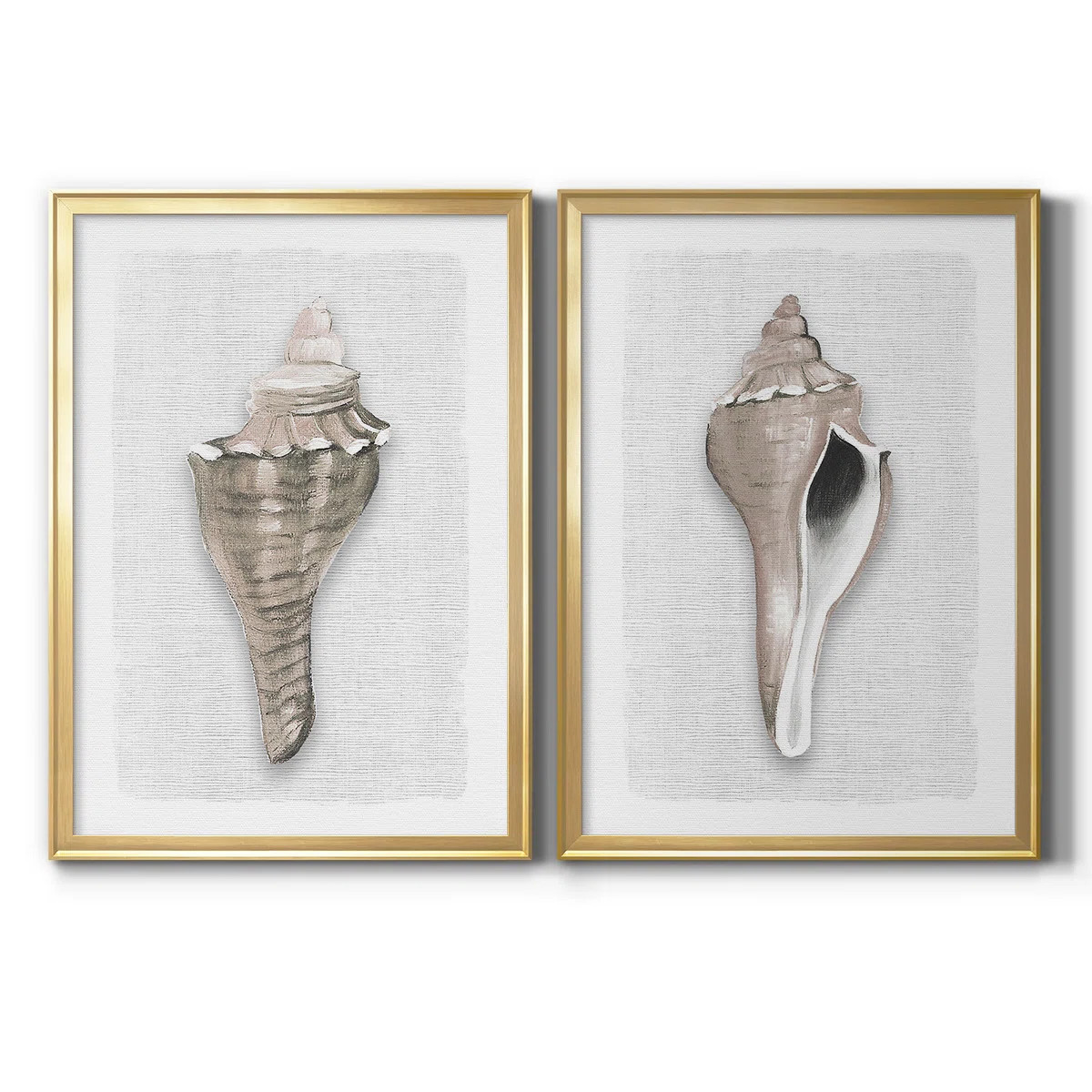 " Sea Front Shell I " 2 - Pieces Painting Print | Wayfair North America