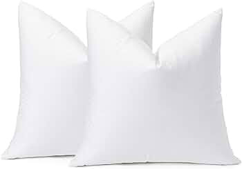OTOSTAR Pack of 2 Down and Feather Throw Pillow Inserts, 28 x 28 Soft Fluffy Square Pillow Insert... | Amazon (US)