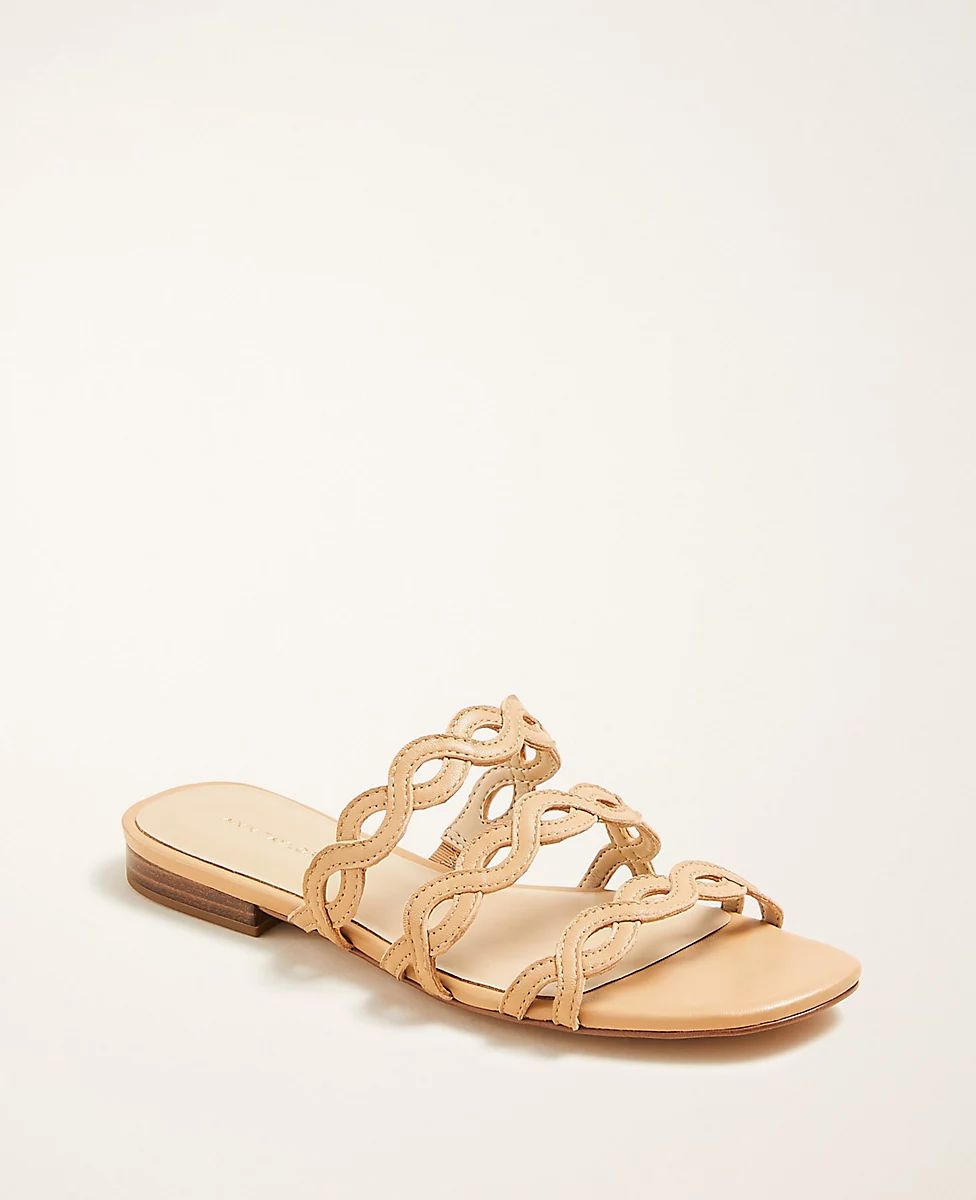 Minny Wavy Leather Sandals | Ann Taylor (US)