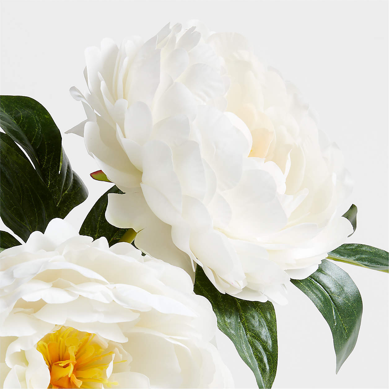 Faux White Peony Stem 20" by Abigail Ahern + Reviews | Crate & Barrel | Crate & Barrel