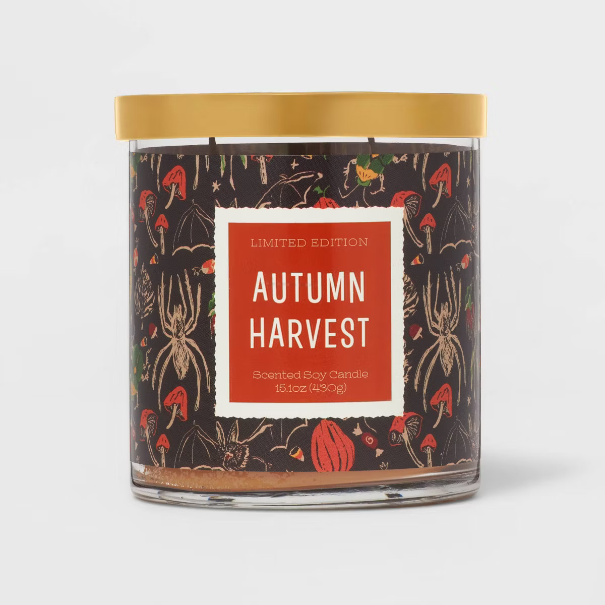 15.1oz 2-Wick Lidded Glass Jar Autumn Harvest Candle Black - Opalhouse™ | Target