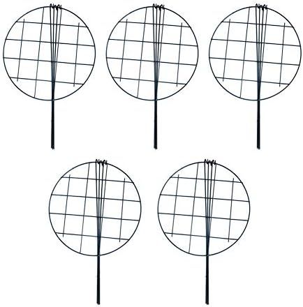 MTB 16 x 24 inch Poeny Cage Grow Through Grid Plant Brace Flower Support Rings, Pack of 5 | Amazon (US)