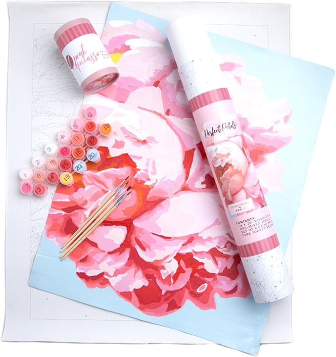 Pink Picasso Kits Botanical Floral Paint by Number for Adults | DIY Canvas Painting Kits Color by... | Amazon (US)