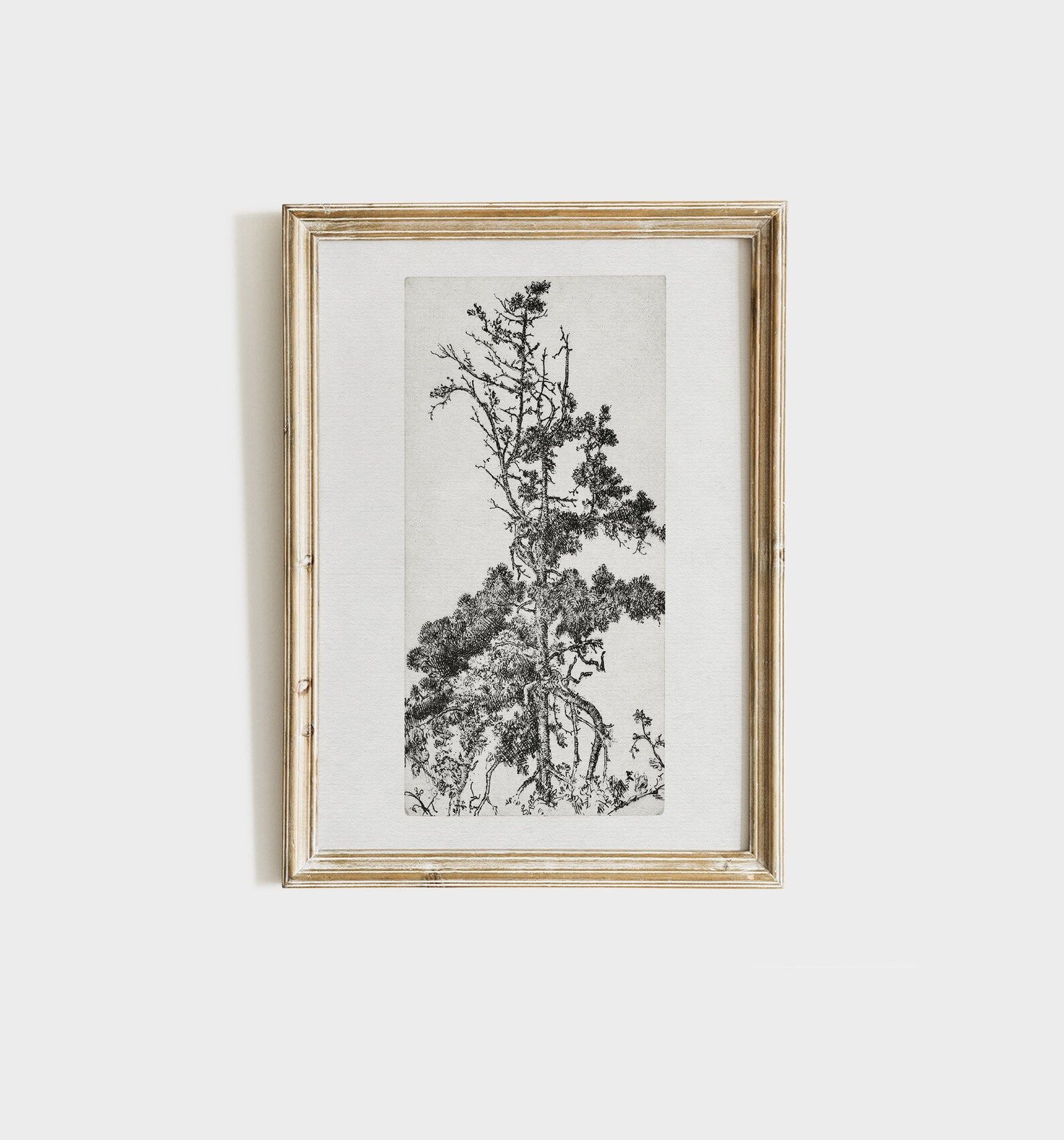 Pine Tree Sketch SET  Vintage Botanical Drawing  Rustic | Etsy | Etsy (US)