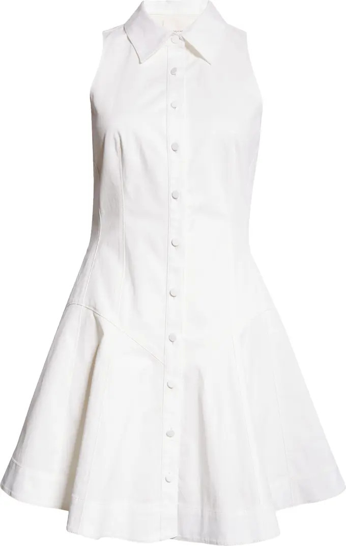 Poppy Sleeveless Stretch Twill Shirtdress | Nordstrom