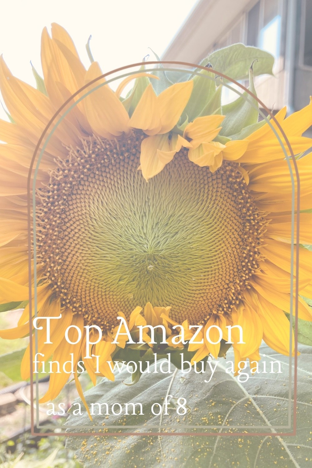 Top Amazon finds I’d buy again as a mom of 8

#LTKFindsUnder100 #LTKOver40 #LTKSaleAlert