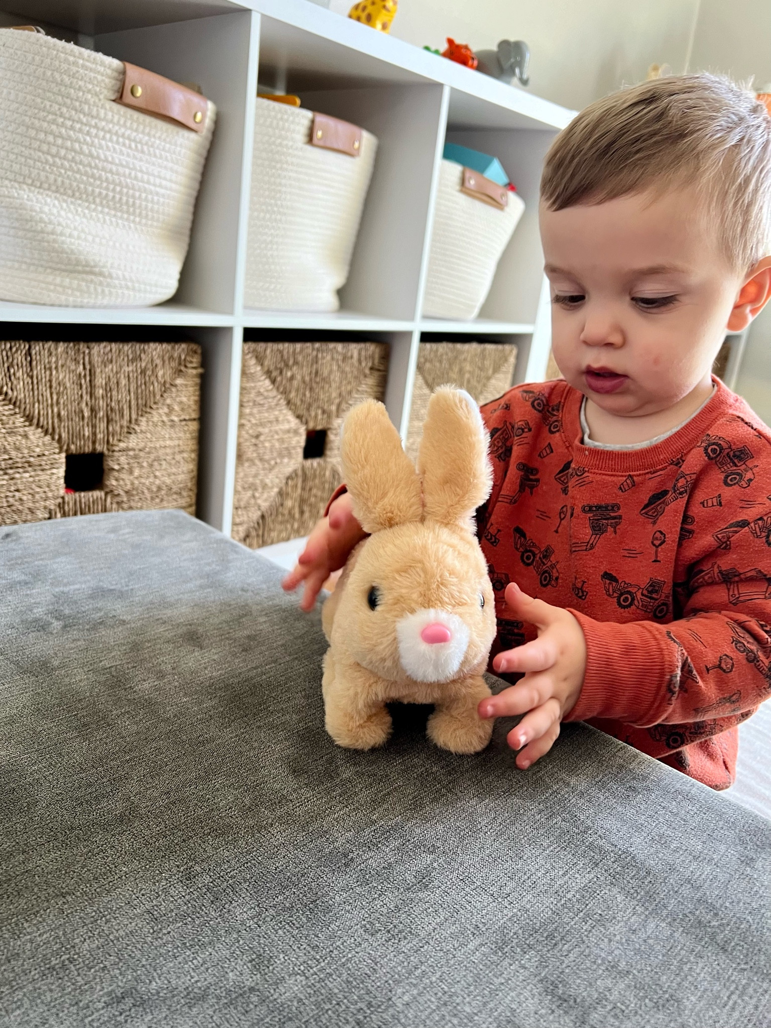 Interactive bunny toy. Makes noise and moves. Super soft! Comes with a carrot too  

#LTKkids #LTKbaby