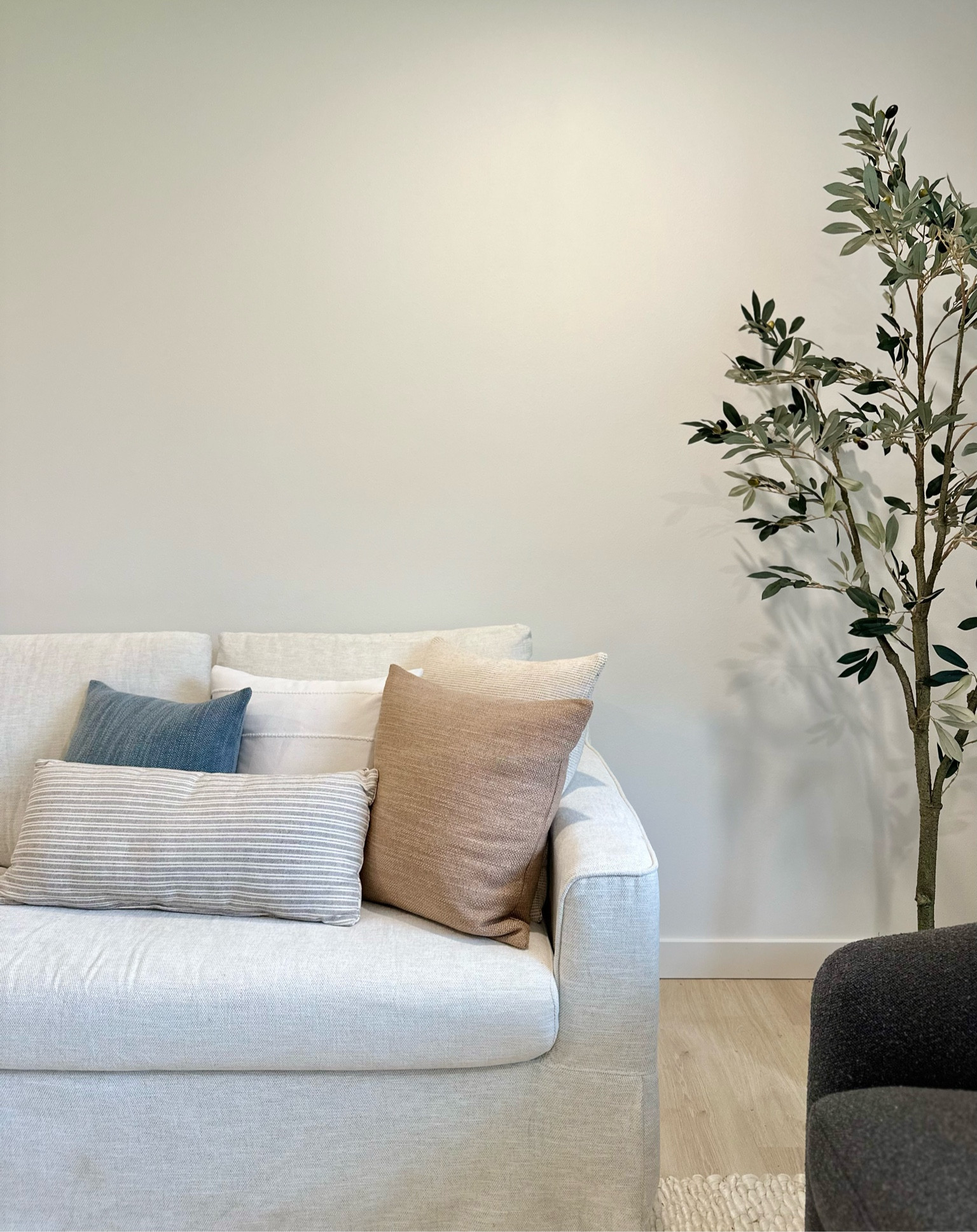 #livingroomdesign #livingroomdecor #livingroomideas #livingroom #moderncoastal #interiordesign #pillows #throwpillows #olivetree #widesofas #slipcoversofa #neutralhome

#LTKFindsUnder50 #LTKSaleAlert #LTKHome