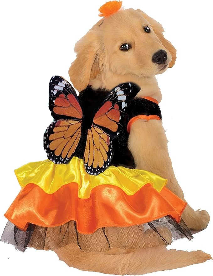 Rubies Monarch Butterfly Pet Costume for Dogs or Cats, XL | Amazon (US)