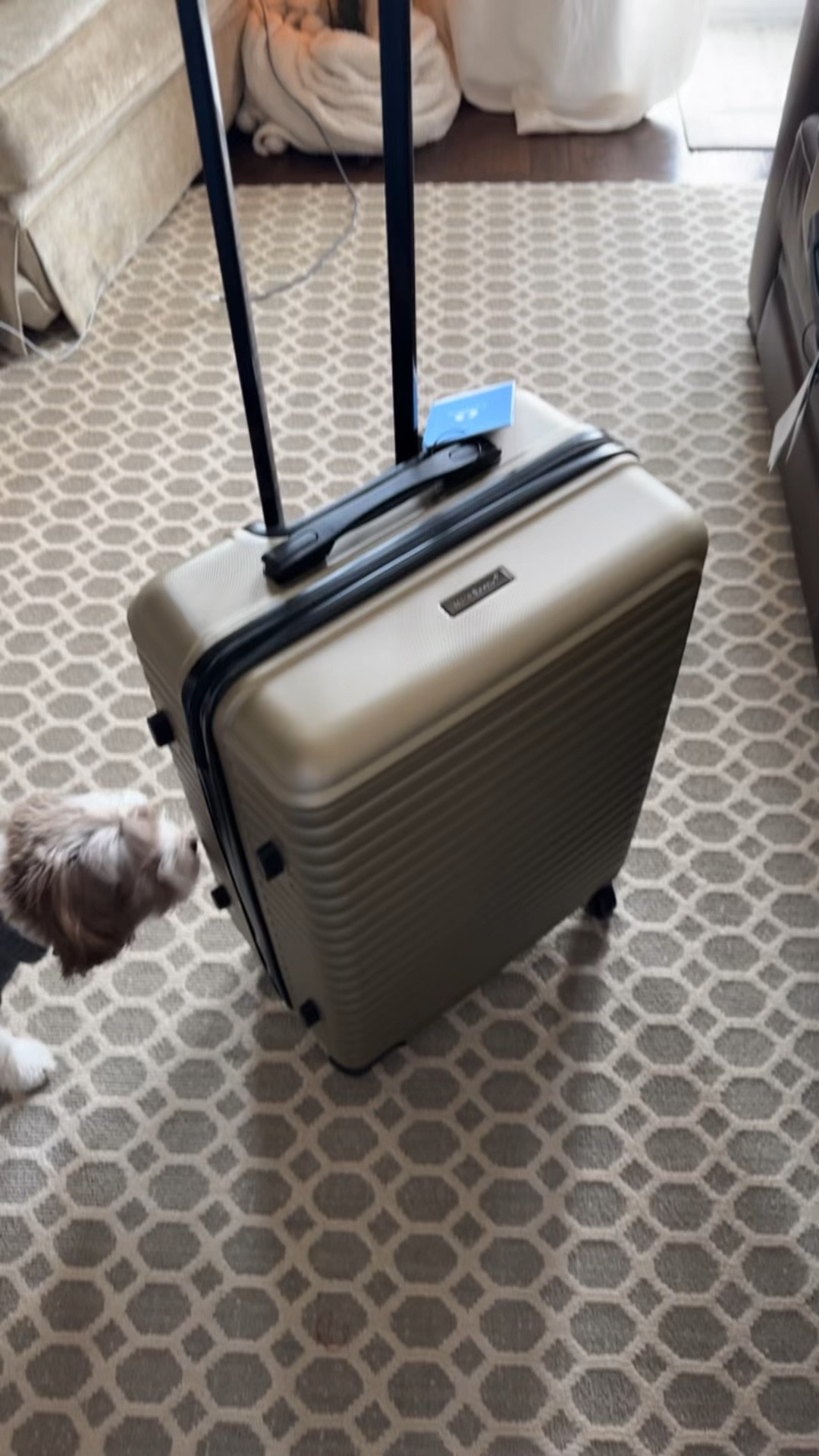 Three piece luggage set 

#LTKSaleAlert #LTKTravel #LTKCyberWeek