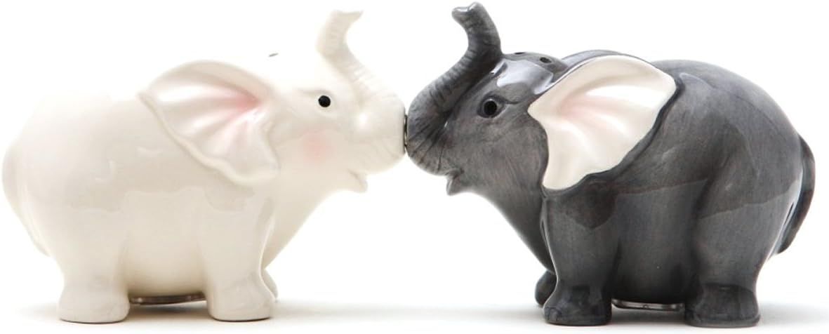 1 X Ceramic Magnetic Salt and Pepper Shaker Set - Elephants They Kiss 8795 | Amazon (US)